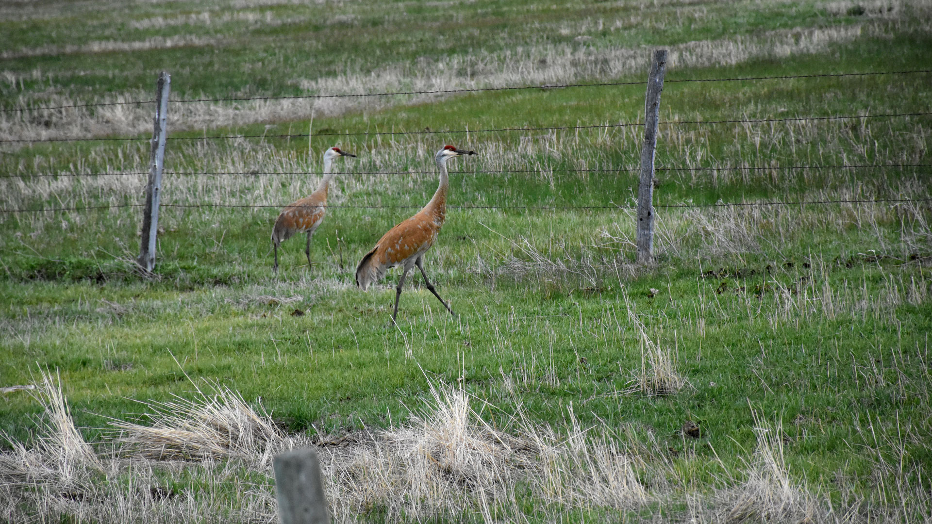 Ogden Valley Land Trust Ogden Valley Land Trust