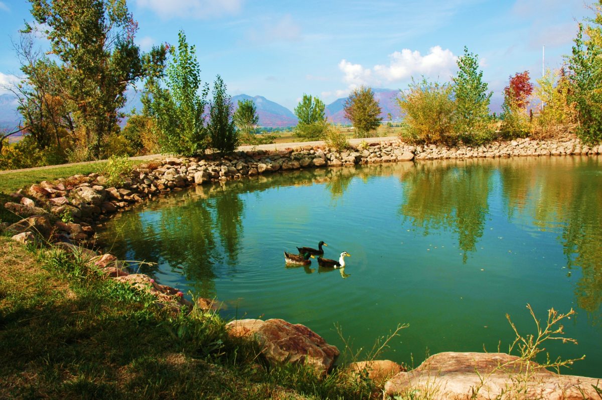 SUMMER CONCERT Ogden Valley Land Trust