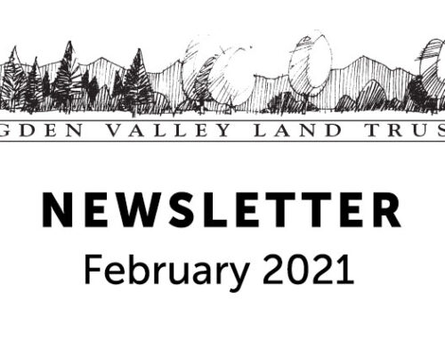 Newsletter February 2021